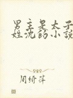 男主是太子女主姓沈的小说