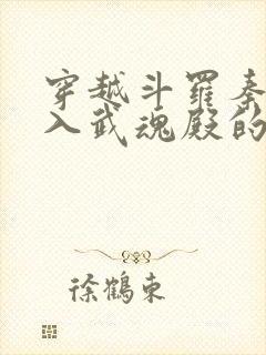 穿越斗罗秦明加入武魂殿的小说