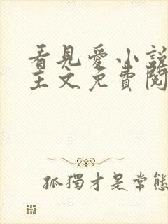 看见爱小说双男主文免费阅读全文