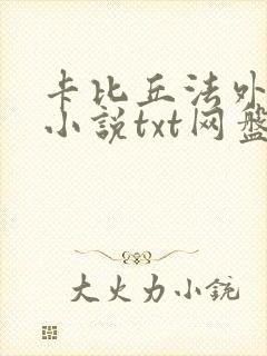 卡比丘法外之徒小说txt网盘