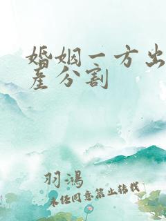 婚姻一方出轨财产分割