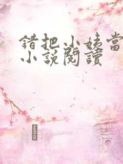 错把小姨当媳妇小说阅读