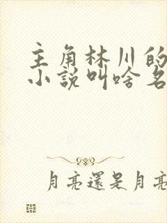 主角林川的重生小说叫啥名