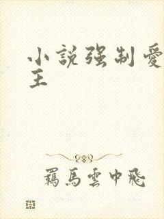 小说强制爱双男主