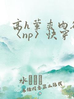 高h荤爽肉欲文〈np〉快穿