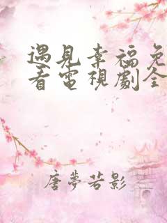 遇见幸福免费观看电视剧全集