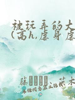 被玩弄的大小姐(高h,虐身虐心