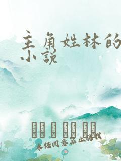 主角姓林的穿越小说