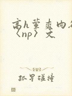 高h荤爽肉欲文〈np〉文