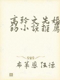 高干文先婚后爱的小说推荐