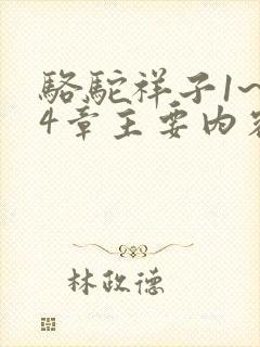 骆驼祥子1~24章主要内容30字