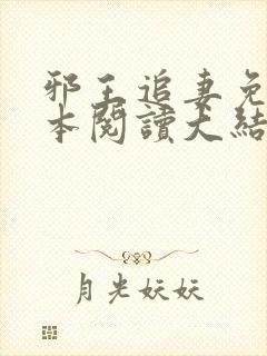 邪王追妻免费全本阅读大结局