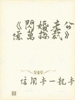 《闪婚老公竟是亿万总裁》小说