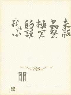 我的极品未婚妻小说完整版本