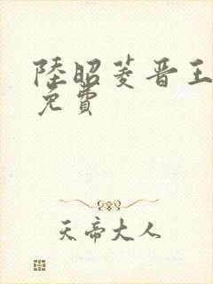 陆昭菱晋王小说免费