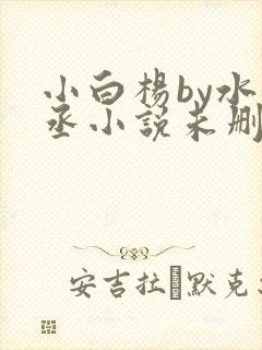小白杨by水千丞小说未删版txt下载