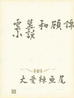 云慕和顾锦宸的小说