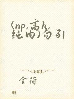 (np,高h,纯肉)勾引