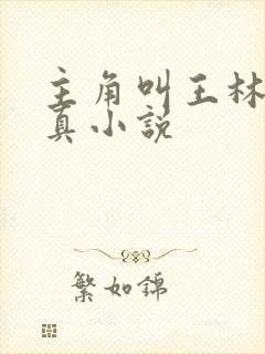 主角叫王林的修真小说