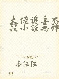 大佬追妻不择手段小说无弹窗最新章节