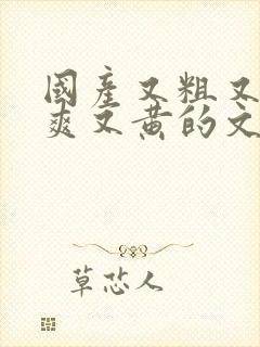 国产又粗又猛又爽又黄的文