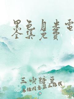 黑色月光电视剧全集免费