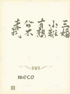 老公有小三但是我不想离婚