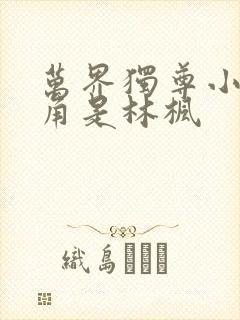 万界独尊小说主角是林枫