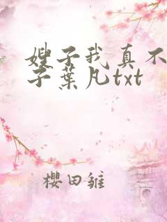 嫂子我真不是傻子叶凡txt