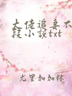 大佬追妻不择手段小说txt