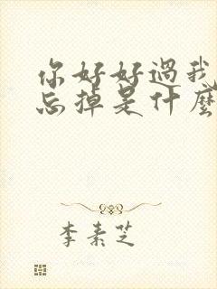 你好好过我慢慢忘掉是什么歌