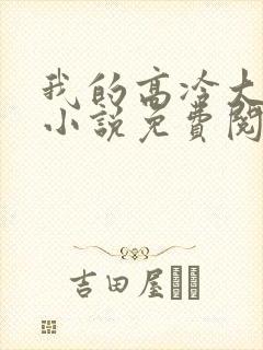 我的高冷大小姐小说免费阅读
