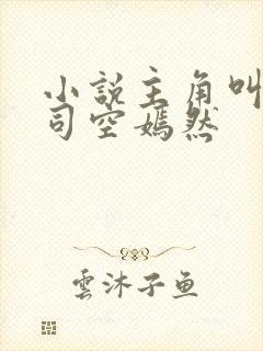 小说主角叫叶凡司空嫣然