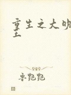 重生之大明摄政王