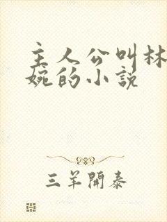 主人公叫林北苏婉的小说