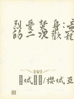 烈爱焚身:帝少的二次欢宠