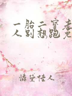 一胎二宝老婆大人别想跑免费阅读