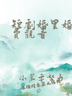 短剧婚里婚外免费观看