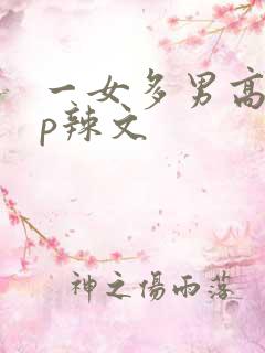一女多男高hnp辣文