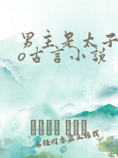 男主是太子的po古言小说