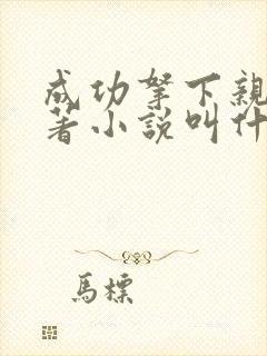 成功拿下亲妈原著小说叫什么名字