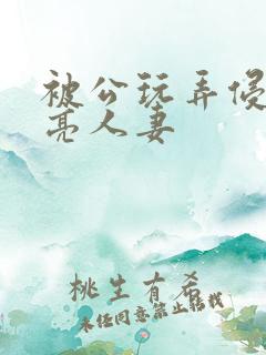 被公玩弄侵犯漂亮人妻