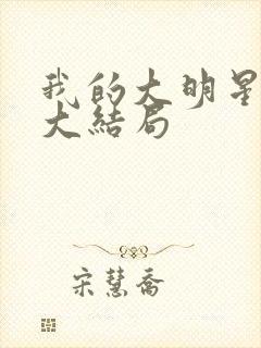 我的大明星老婆大结局