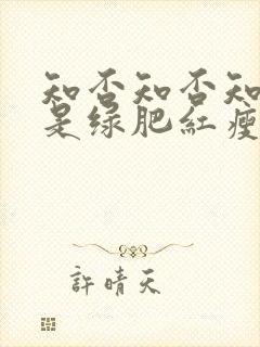 知否知否知否应是绿肥红瘦原著