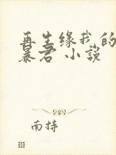 再生缘我的温柔暴君 小说