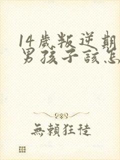 14岁叛逆期的男孩子该怎样去沟通教育