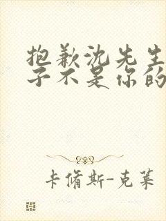 抱歉沈先生,孩子不是你的短剧完整选集