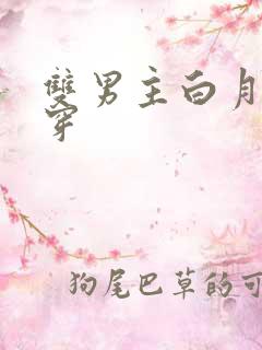 双男主白月光快穿