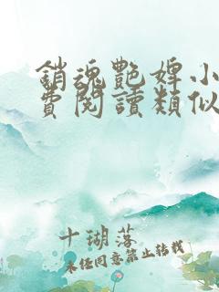 销魂艳婢小说免费阅读类似