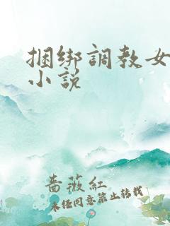 捆绑调教女警的小说